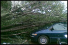 Southeast Texas Emerges From Hurricane Ike With Costly Property Damage
